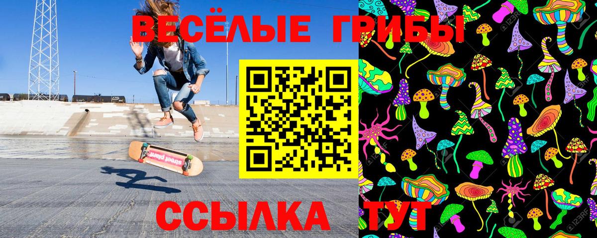 Галлюциногенные грибы Cubensis  Вход с VPN  Реж 